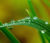 Igrotermia_ANIT