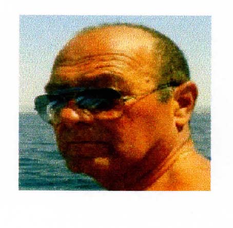 Ing. Ceppaglia Simone